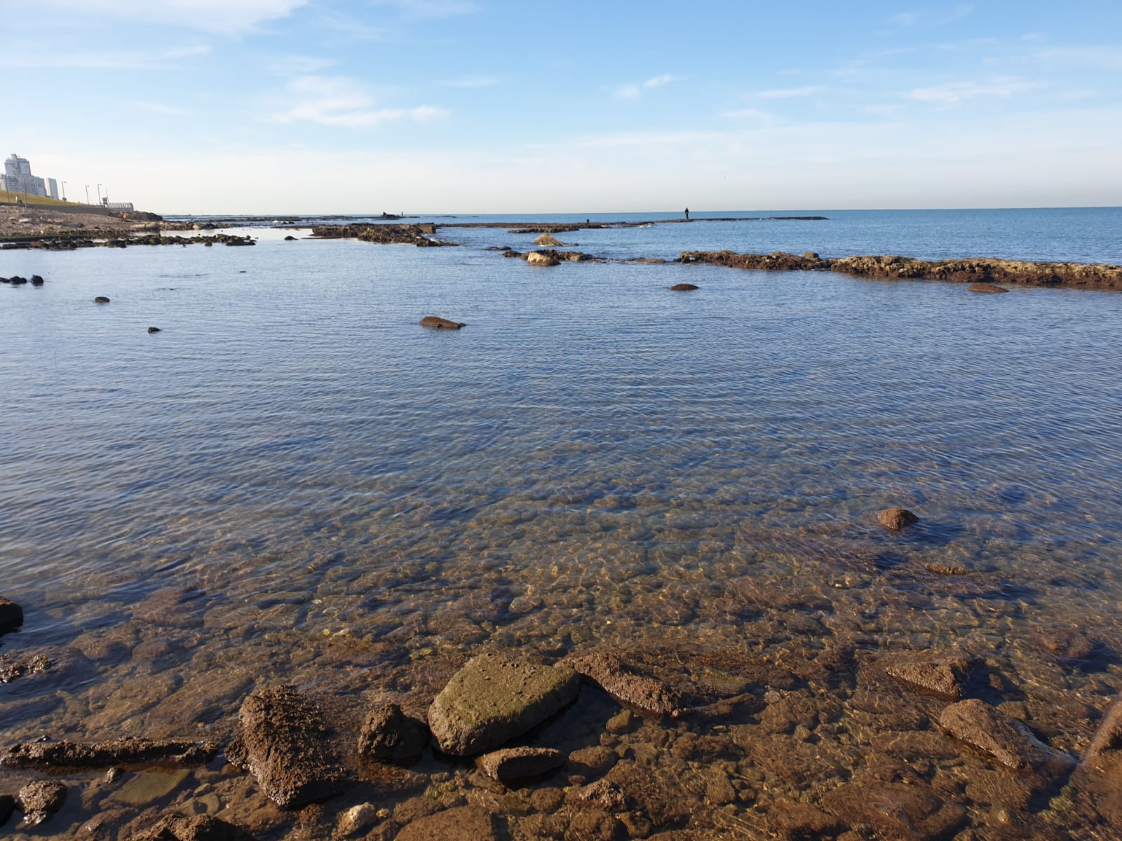 WhatsApp Image 2020-01-27 at 9.05.16 AM (1).jpeg.jpeg